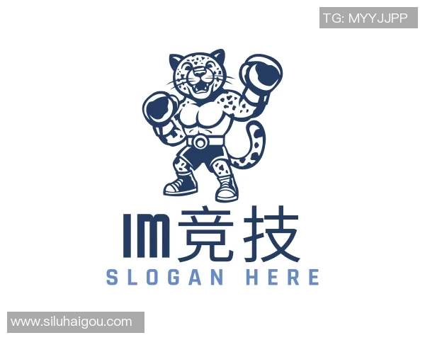 CS2carry队员的成长之路与团队协作的力量探讨