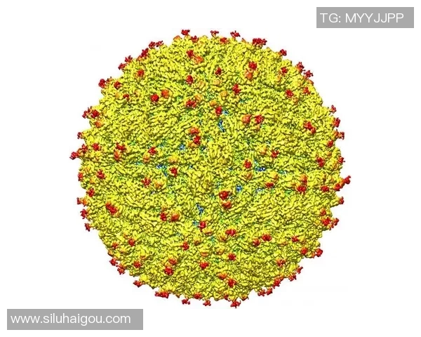 WBGZika项目助力全球抗击寨卡病毒传播与影响的创新策略与合作模式 WBGZika项目助力全球抗击寨卡病毒传播与影响的创新策略与合作模式