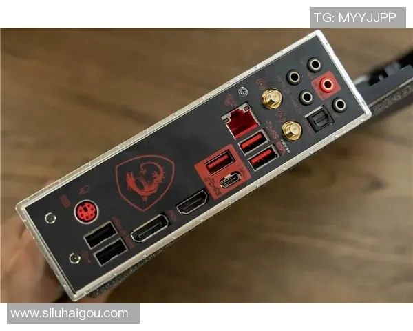 AuroraGaming领先联盟引领电竞新时代助力玩家共同成长