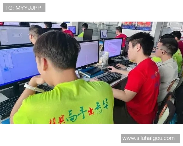 PEL突围思婷：探索创新之路与未来发展新机遇